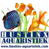 Hustinx Aquaristiek Hasselt
